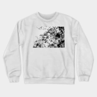 Magic of a Sunny Day Crewneck Sweatshirt